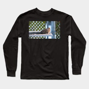 Sleepy Dove Enjoying Sunflower Seeds Long Sleeve T-Shirt